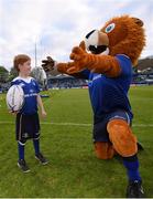 28 April 2017; Leinster matchday mascot Eóin Simpson, age 7, with Leo The Lion prior to the Guinness PRO12 Round 21 match between Leinster and Glasgow Warriors at the RDS Arena in Dublin. Photo by Stephen McCarthy/Sportsfile