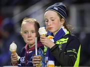 28 April 2017; Leinster fans during the Guinness PRO12 Round 21 match between Leinster and Glasgow Warriors at the RDS Arena in Dublin. Photo by Stephen McCarthy/Sportsfile