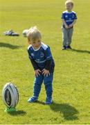 1 May 2017; Con Cullen, age 2, son of Leinster head coach Leo Cullen during an open squad training session at the RDS Arena, Ballsbridge, Dublin. Photo by Piaras Ó Mídheach/Sportsfile