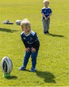 1 May 2017; Con Cullen, age 2, son of Leinster head coach Leo Cullen during an open squad training session at the RDS Arena, Ballsbridge, Dublin. Photo by Piaras Ó Mídheach/Sportsfile
