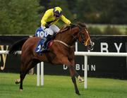 3 September 2011; Rock And Roll Kid, with Danny Mullins up, on the way to winning The Leopardstown.com Handicap. Horse Racing at Leopardstown, Leopardstown Race Course, Dublin. Picture credit: Ray McManus / SPORTSFILE