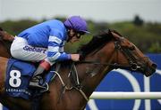 3 September 2011; Oh So Lucy, with Johnny Murtagh up, in action during The Irish Stallion Farms European Breeders Fund Fillies Maiden. Horse Racing at Leopardstown, Leopardstown Race Course, Dublin. Picture credit: Ray McManus / SPORTSFILE