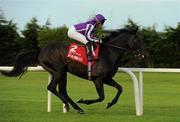 3 September 2011; So You Think, with Seamus ( Shamie ) Heffernan up, canters to the start for The Red Mills Irish Champion Stakes. Horse Racing at Leopardstown, Leopardstown Race Course, Dublin. Picture credit: Ray McManus / SPORTSFILE