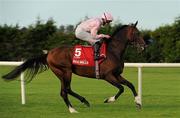 3 September 2011; Recital, with Colm O'Donoghue up, canters to the start for The Red Mills Irish Champion Stakes. Horse Racing at Leopardstown, Leopardstown Race Course, Dublin. Picture credit: Ray McManus / SPORTSFILE