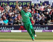 5 May 2017; Peter Chase of Ireland celebrates taking the wicket of Jason Roy of England during the One Day International between England and Ireland at The Brightside Ground in Bristol, England. Photo by Matt Impey/Sportsfile
