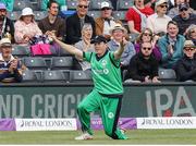 5 May 2017; Kevin O’Brien of Ireland celebrates after catching Eóin Morgan of England during the One Day International between England and Ireland at The Brightside Ground in Bristol, England. Photo by Matt Impey/Sportsfile