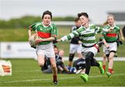 6 May 2017; Hugh Hamilton of St Brigids Newbridge, Co Kildare, is tagged by Shea O'Neill of St Mary's, Co Sligo, whilst competing in U14 and O11 Mixed Tag Rugby during the Aldi Community Games May Festival 2017 at National Sports Campus, in Abbotstown, Dublin.  Photo by Sam Barnes/Sportsfile