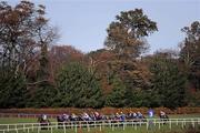 6 November 2011; A general view of the field on the approach to the home straight during The Irish Stallion Farms European Breeders Fund Maiden. Leopardstown - 2011 Flat Season Finale Day, Leopardstown Racecourse, Dublin. Picture credit: Stephen McCarthy / SPORTSFILE