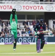7 May 2017; Niall O'Brien of Ireland fields the ball during the One Day International between England and Ireland at Lord's, London, England. Photo by Matt Impey/Sportsfile