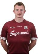 10 May 2017, Joe Canning of Galway. Galway Hurling Squad Portraits 2017 in Raheen Woods, Athenry, Galway. Photo by David Maher/Sportsfile