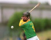 12 May 2002; Nicky Horan of Meath during the Guinness Leinster Senior Hurling Championship Second Round match between Meath and Laois at Páirc Tailteann in Navan, Meath. Photo by David Maher/Sportsfile