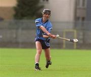 12 May 2002; Shane Martin of Dublin during the Guinness Leinster Senior Hurling Championship Second Round match between Westmeath and Dublin at Cusack Park in Mullingar, Westmeath. Photo by Ray Lohan/Sportsfile