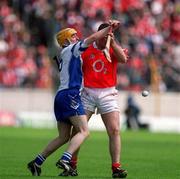 26 May 2002; Cork's Fergal McCormack in a tussle for possession with Waterford's Fergal Hartley during the Guinness Munster Senior Hurling Championship Semi-Final match between Waterford and Cork at Semple Stadium in Thurles, Tipperary. Photo by Brendan Moran/Sportsfile