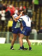 26 May 2002; Waterford's Peter Queally, left, and team-mate Tony Browne celebrate following their side's victory during the Guinness Munster Senior Hurling Championship Semi-Final match between Waterford and Cork at Semple Stadium in Thurles, Tipperary. Photo by Brendan Moran/Sportsfile
