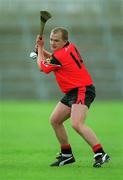 25 May 2002; Johnny McGrattan of Down during the Guinness Ulster Senior Hurling Championship Semi-Final match between Down and Derry at Casement Park in Belfast. Photo by Damien Eagers/Sportsfile