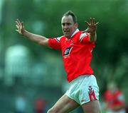 26 May 2002; Seamus O'Hanlon of Louth during the Bank of Ireland Leinster Senior Football Championship Quarter-Final match between Kildare and Louth at Páirc Tailteann in Navan, Meath. Photo by Ray McManus/Sportsfile