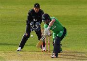 14 May 2017; Barry McCarthy of Ireland during the One Day International match between Ireland and New Zealand at Malahide Cricket Club in Dublin. Photo by Brendan Moran/Sportsfile