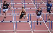 17 May 2017; Alex O'Shea of Patrician Newbridge, second left, on his way to winning the Minor Boys 75m Hurdles during the Irish Life Health Leinster Schools Track and Field Day 1 at Morton Stadium in Santry, Dublin. Photo by David Fitzgerald/Sportsfile