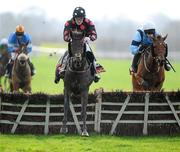 19 November 2011; One Cool Shabra, with Ger Fox up, jumps the last on their way to winning the Ballymore GAA Christmas Fair and Family Fun Day Hurdle, from eventual second place Thegondolier, with Brian Hayes up. Punchestown Racecourse, Punchestown, Co. Kildare. Picture credit: Matt Browne / SPORTSFILE