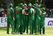 19 May 2017; Mosaddek Hossain of Bangladesh, third from left, is congratulated by team-mates after catching out William Porterfield of Ireland during the One Day International match between Ireland and Bangladesh at Malahide Cricket Club in Dublin. Photo by Sam Barnes/Sportsfile