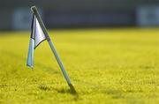31 May 2006; A general view of a sideline flag. Leinster Junior Football Championship, Quarter-Final, Dublin v Wexford, Parnell Park, Dublin. Picture credit: Brian Lawless / SPORTSFILE