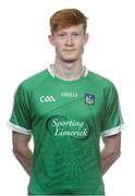 16 May 2017; William O'Donoghue of Limerick during the 2017 Limerick Hurling Squad Portraits session at the Gaelic Grounds in Limerick. Photo by Piaras Ó Mídheach/Sportsfile