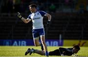 20 May 2017; Conor McManus of Monaghan celebrates after scoring his side's first goal during the Ulster GAA Football Senior Championship Preliminary Round match between Monaghan and Fermanagh at St Tiernach's Park in Clones, Co. Monaghan. Photo by Philip Fitzpatrick/Sportsfile