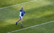18 July 2004; Laois captain Chris Conway celebrates his late point to leave the scores level. Bank of Ireland Leinster Senior Football Championship Final, Laois v Westmeath, Croke Park, Dublin. Picture credit; Ray McManus / SPORTSFILE