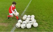 21 May 2017; Conal Kelly, son of Louth manager Colin Kelly, tending to the footballs before the Leinster GAA Football Senior Championship Round 1 match between Louth and Wicklow at Parnell Park in Dublin. Photo by Piaras Ó Mídheach/Sportsfile