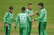 21 May 2017; Craig Young of Ireland, third from left, and team-mates including, from left, William Porterfield, Barry McCarthy, and Peter Chase, celebrate the wicket of Corey Anderson of New Zealand during the One Day International match between Ireland and New Zealand at Malahide Cricket Club in Dublin. Photo by Cody Glenn/Sportsfile