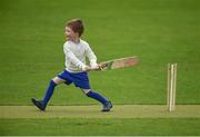 21 May 2017; A young lad plays cricket outside the grounds during the One Day International match between Ireland and New Zealand at Malahide Cricket Club in Dublin. Photo by Cody Glenn/Sportsfile
