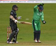 21 May 2017; Ireland wicket keeper Niall O'Brien and New Zealand captain Tom Latham during the One Day International match between Ireland and New Zealand at Malahide Cricket Club in Dublin. Photo by Cody Glenn/Sportsfile