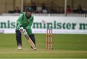 21 May 2017; Ireland captain William Porterfield during the One Day International match between Ireland and New Zealand at Malahide Cricket Club in Dublin. Photo by Cody Glenn/Sportsfile