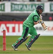 21 May 2017; Paul Stirling of Ireland during the One Day International match between Ireland and New Zealand at Malahide Cricket Club in Dublin. Photo by Cody Glenn/Sportsfile