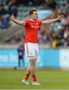 21 May 2017; James Stewart of Louth during the Leinster GAA Football Senior Championship Round 1 match between Louth and Wicklow at Parnell Park in Dublin. Photo by Piaras Ó Mídheach/Sportsfile