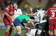 10 December 2011; Referee Romain Poite gets a bit too close to the action as he is knocked over by the players. Heineken Cup, Pool 1, Round 3, Scarlets v Munster, Parc Y Scarlets, Llanelli, Wales. Picture credit: Steve Pope / SPORTSFILE
