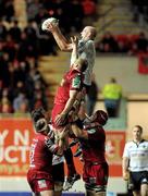 10 December 2011; Paul O'Connell, Munster, wins possession for his side in the line-out ahead of Damian Welch, Scarlets. Heineken Cup, Pool 1, Round 3, Scarlets v Munster, Parc Y Scarlets, Llanelli, Wales. Picture credit: Diarmuid Greene / SPORTSFILE