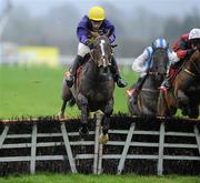 11 December 2011; Lord Windermere, with Tom Doyle up, jumps the last on their way to winning the I.N.H. Stallion Owners European Breeders Fund Novice Hurdle. Horse Racing, Punchestown, Co. Kildare. Picture credit: Matt Browne / SPORTSFILE