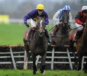 11 December 2011; Lord Windermere, with Tom Doyle up, on their way to winning the I.N.H. Stallion Owners European Breeders Fund Novice Hurdle after jumping the last. Horse Racing, Punchestown, Co. Kildare. Picture credit: Matt Browne / SPORTSFILE