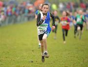 11 December 2011; Danielle Donegan, Tullamore Harriers AC, crosses the finish line to finish in third place in the Girl's U11 race the Woodie’s DIY Novice and Juvenile Cross Country Championships. Curragh Camp, The Curragh, Co. Kildare. Picture credit: Pat Murphy / SPORTSFILE