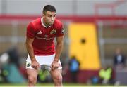 20 May 2017; Conor Murray of Munster during the Guinness PRO12 semi-final between Munster and Ospreys at Thomond Park in Limerick. Photo by Diarmuid Greene/Sportsfile