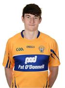 26 May 2017; David Fitzgerald of Clare. Clare Hurling Squad Portraits 2017 at the Clare GAA centre of excellence in Caherlohan, Co. Clare. Photo by Diarmuid Greene/Sportsfile