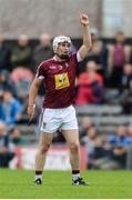 27 May 2017; Killian Doyle of Westmeath celebrates scoring a second half point during the Leinster GAA Hurling Senior Championship Quarter-Final match between Westmeath and Offaly at TEG Cusack Park in Mullingar, Co Westmeath. Photo by Piaras Ó Mídheach/Sportsfile
