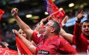 27 May 2017; Scarlets supporters celebrate a try during the Guinness PRO12 Final between Munster and Scarlets at the Aviva Stadium in Dublin. Photo by Ramsey Cardy/Sportsfile