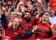 27 May 2017; Scarlets supporters celebrate after the Guinness PRO12 Final between Munster and Scarlets at the Aviva Stadium in Dublin. Photo by Diarmuid Greene/Sportsfile