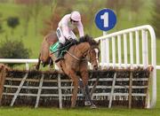 18 December 2011; Zaidpour, with Ruby Walsh up, jump the last on their way to winning the Tara Hurdle. Navan Racecourse, Navan, Co. Meath. Photo by Sportsfile