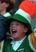 13 September 1998; An Offaly supporter during the Guinness All-Ireland Senior Hurling Championship Final match between Kilkenny and Offaly at Croke Park in Dublin. Photo by David Maher/Sportsfile