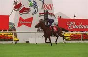 1 July 2001; Galileo, with Mick Kinane up, passes the post to win the Budweiser Irish Derby at The Curragh Racecouse in Kildare. Photo by Gerry Barton/Sportsfile