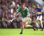 2 June 2002; Ciaran Carey of Limerick during the Guinness Munster Senior Hurling Championship Semi-Final match between Tipperary and Limerick at Páirc U’ Chaoimh in Cork. Photo by Brendan Moran/Sportsfile