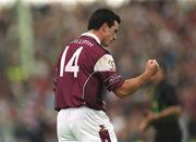 2 June 2002; Padraig Joyce of Galway celebrates scoring a point, which put his side in the lead in the final minutes, during the Bank of Ireland Connacht Senior Football Championship Semi-Final match between Mayo and Galway at MacHale Park in Castlebar, Mayo. Photo by Aoife Rice/Sportsfile